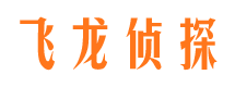 巨野侦探